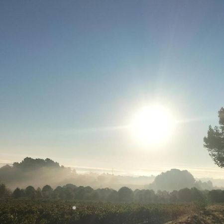 Gites A Moussan ,Domaine De La Barque A 5 Mins De Narbonne المظهر الخارجي الصورة