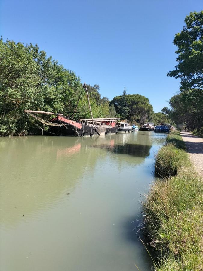 Gites A Moussan ,Domaine De La Barque A 5 Mins De Narbonne المظهر الخارجي الصورة